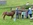 Pony reiten am Sonnenstein