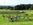 Pony reiten am Sonnenstein